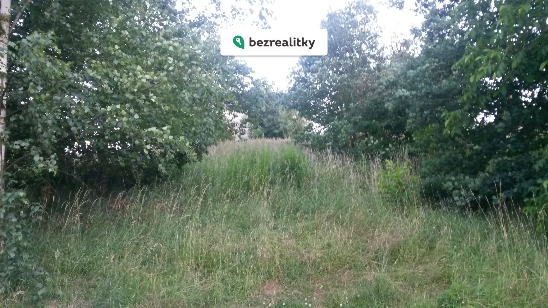 1771868136-cflrjcddsr-20180630-202736