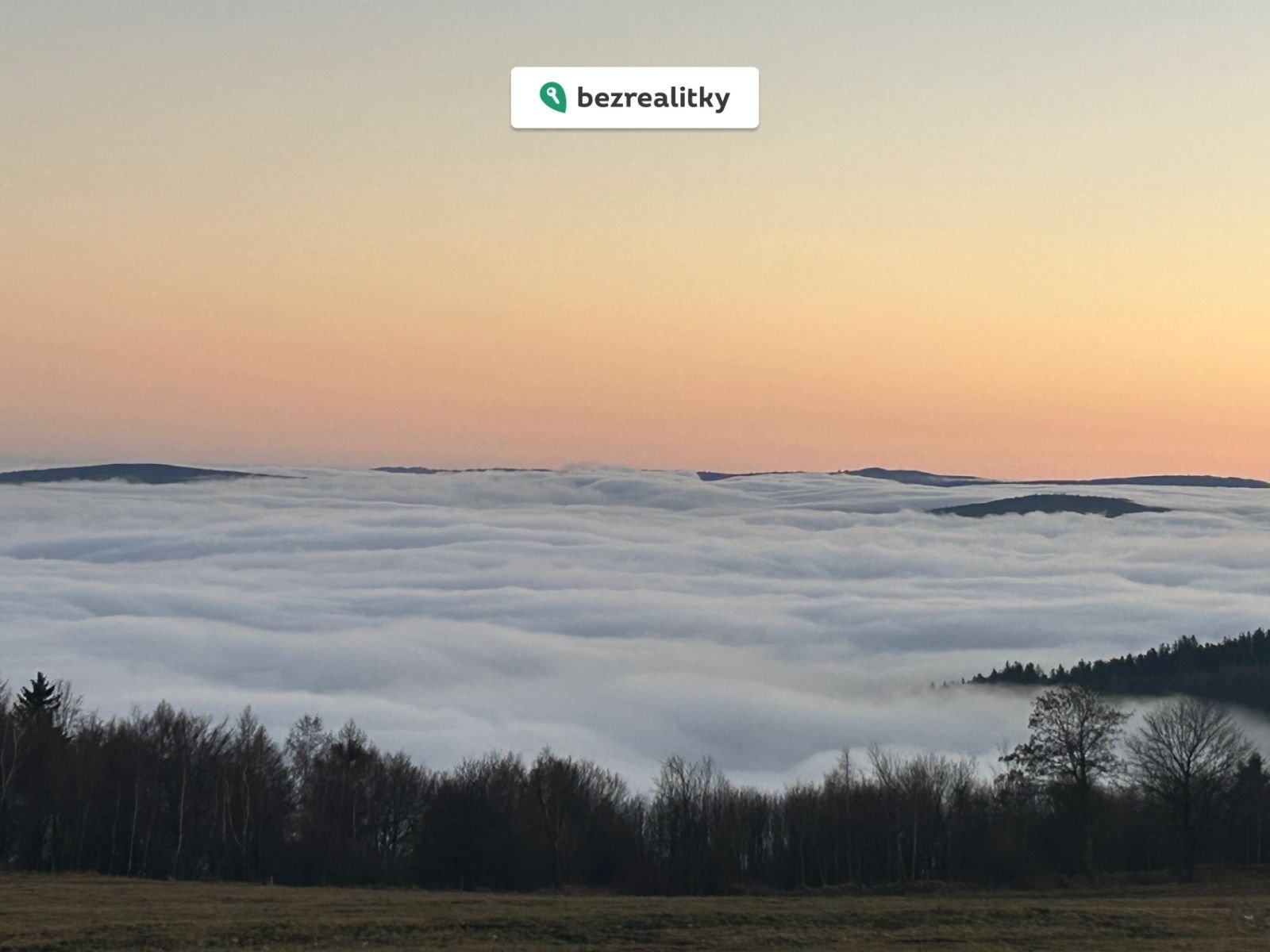 1767019223-dtotbxlnru-img-2659