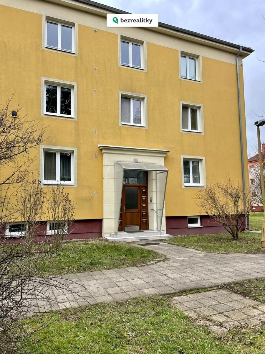 1737721400-ajgdpmuudb-img-2591