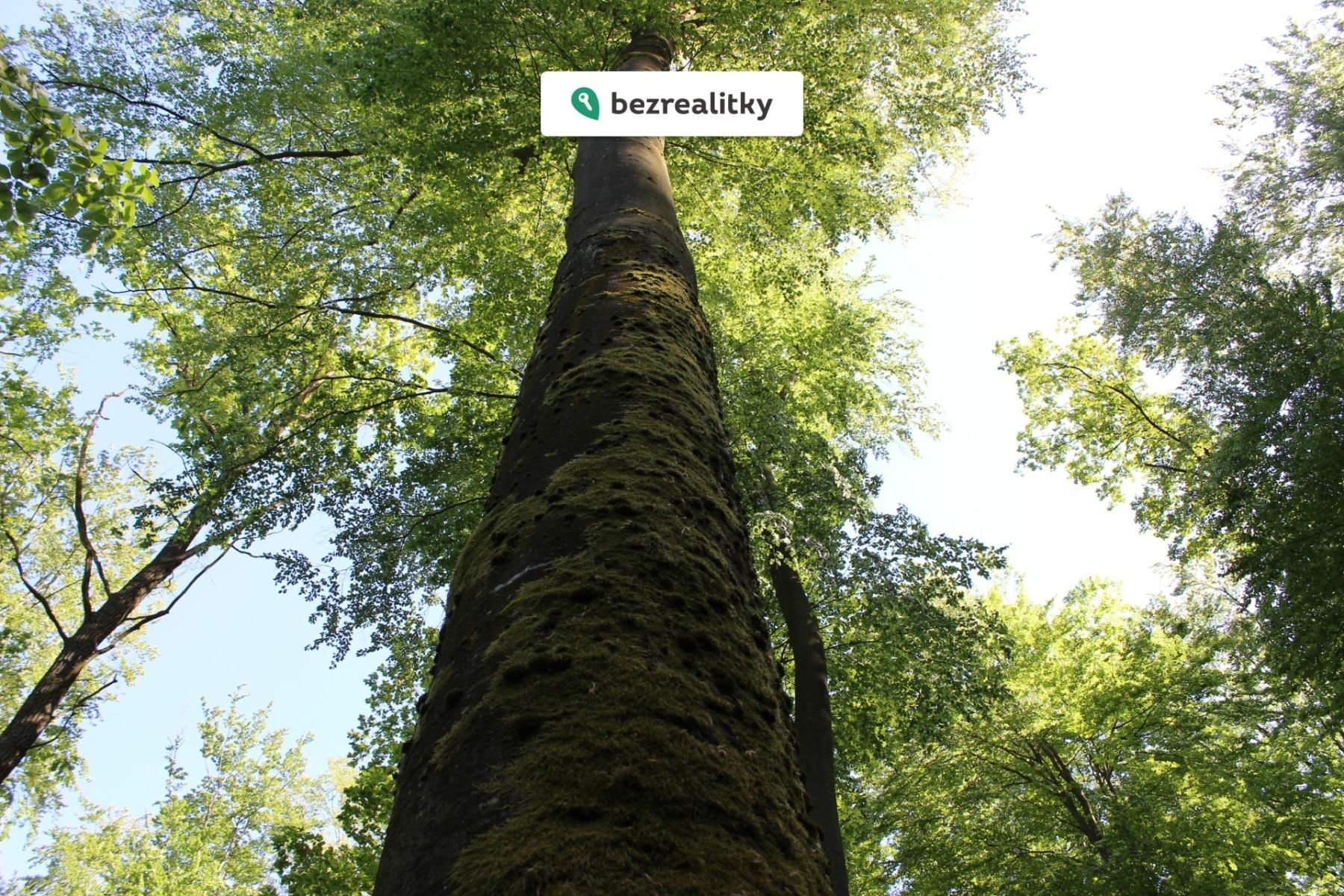 1764545292-qizxcscrcr-img-6481