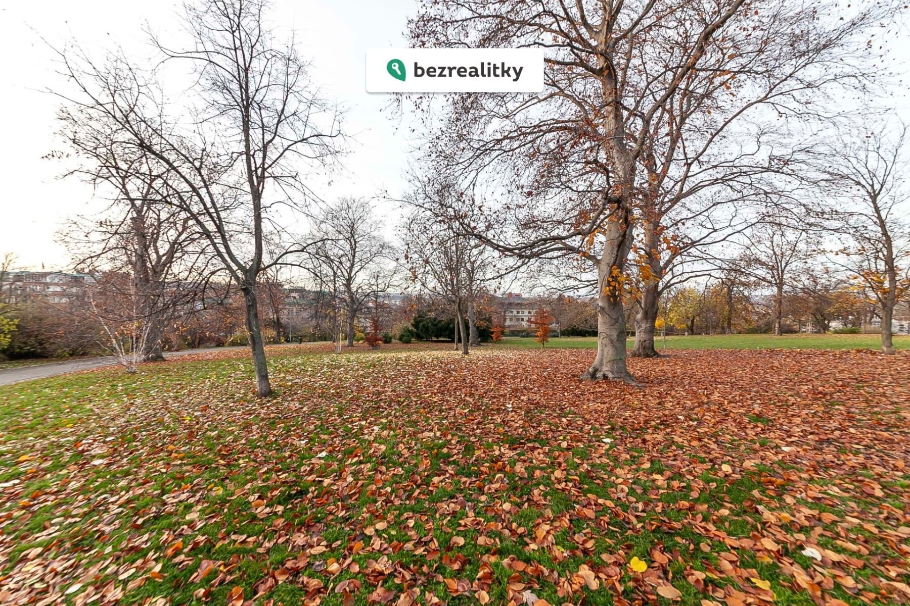 1763546196-qqbgmvpcnp-img-030