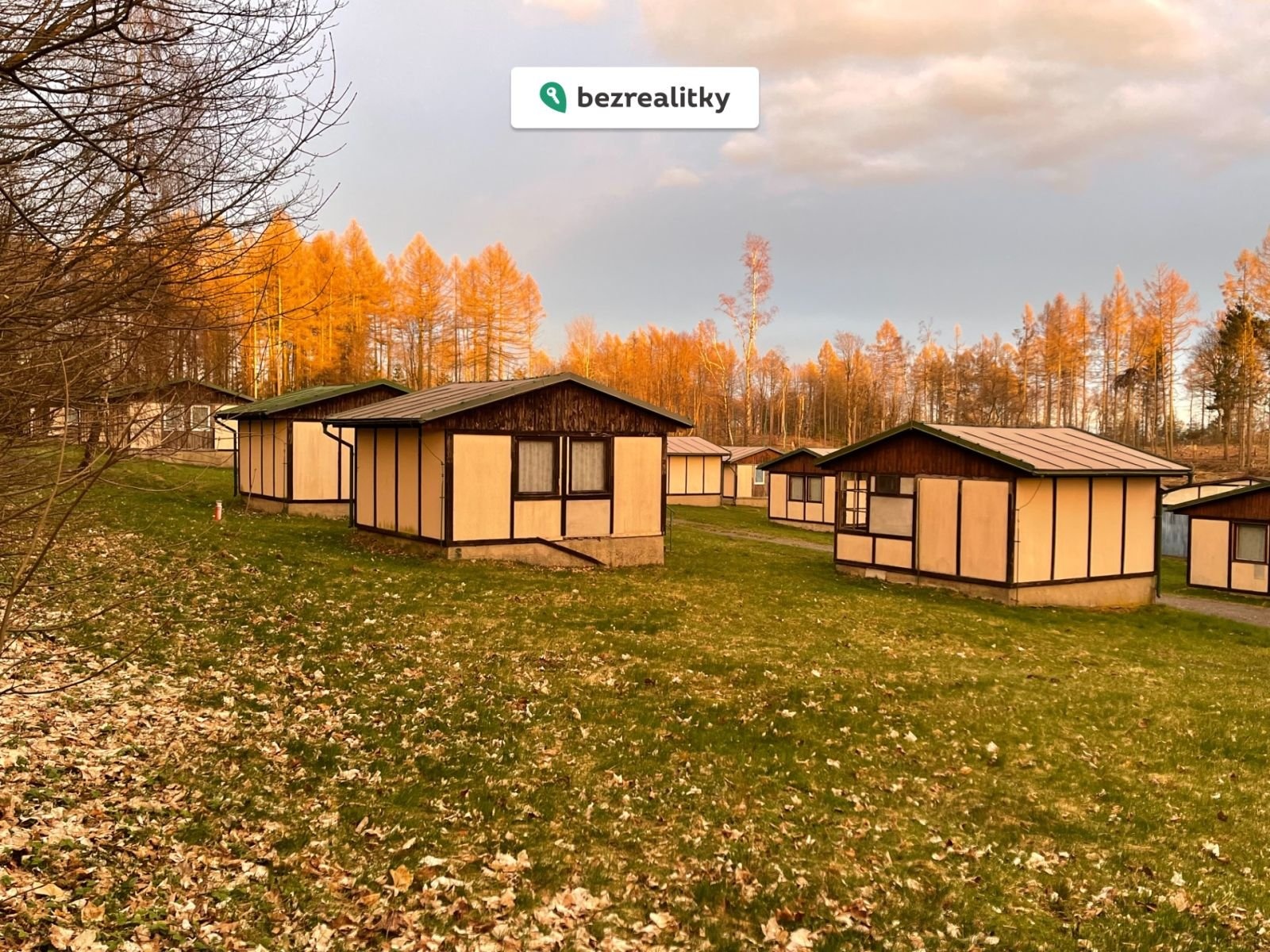 1765377596-grjpdyobwy-img-8670