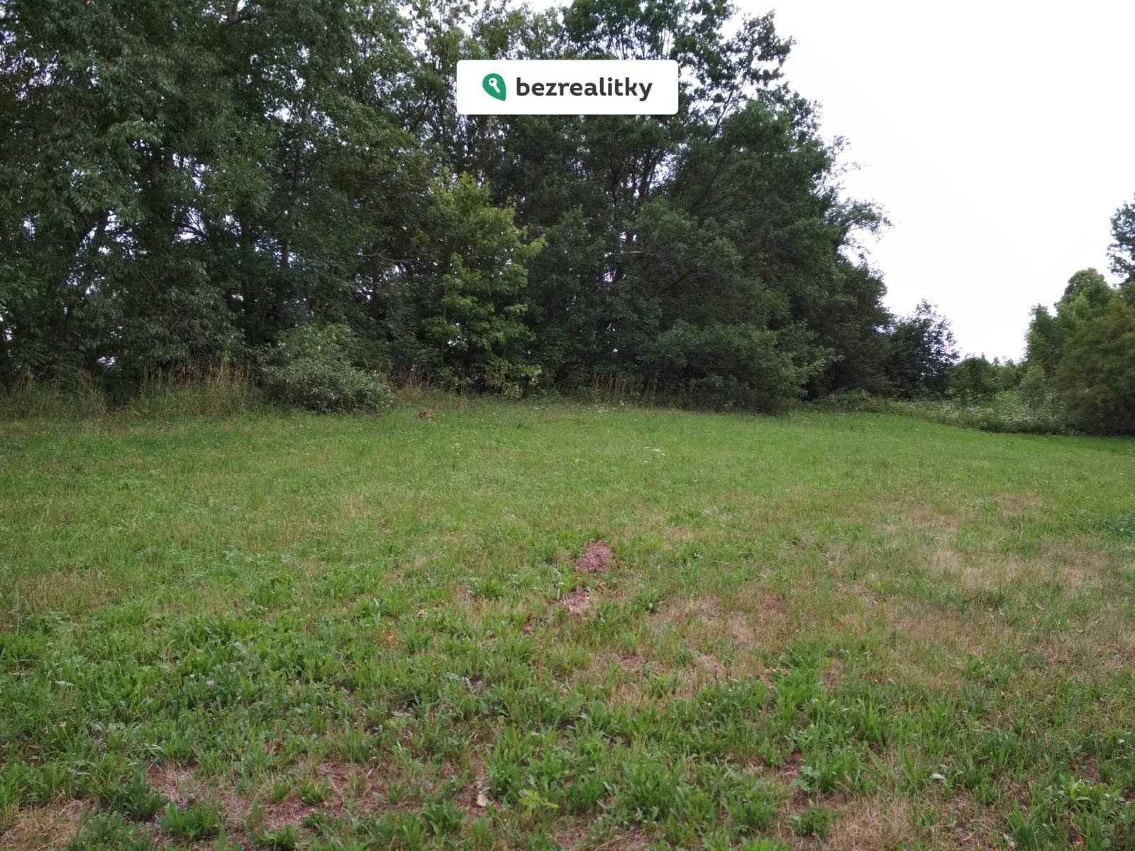 1764546474-hdfwvyzdew-img-20180630-175940