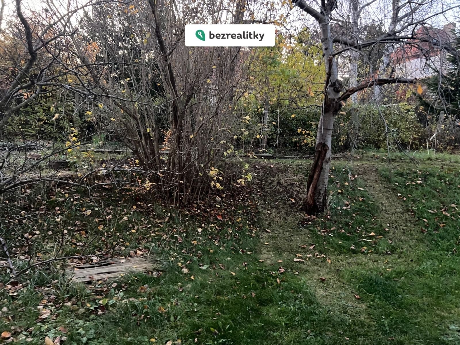 1762782844-rufgzmsomo-img-9845