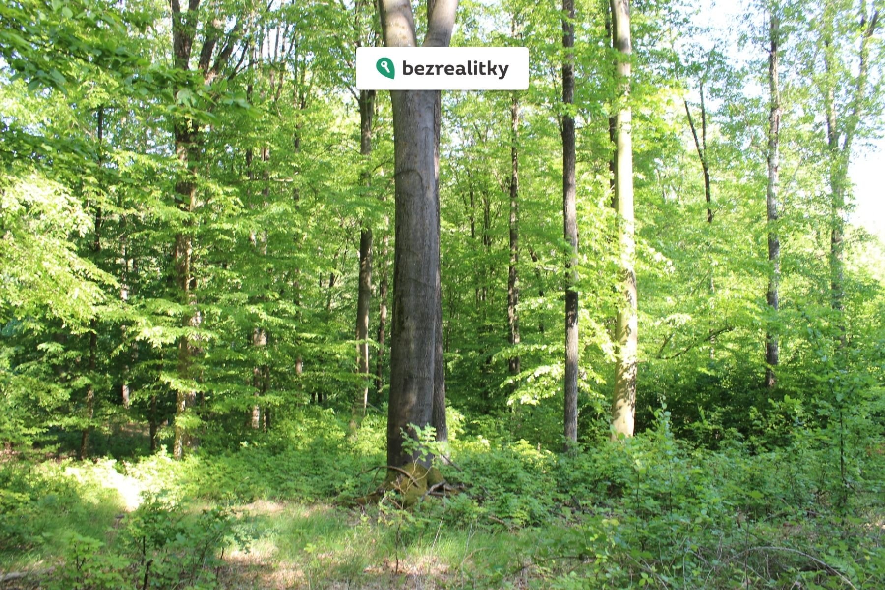 1764545287-tcuurdadkf-img-6544