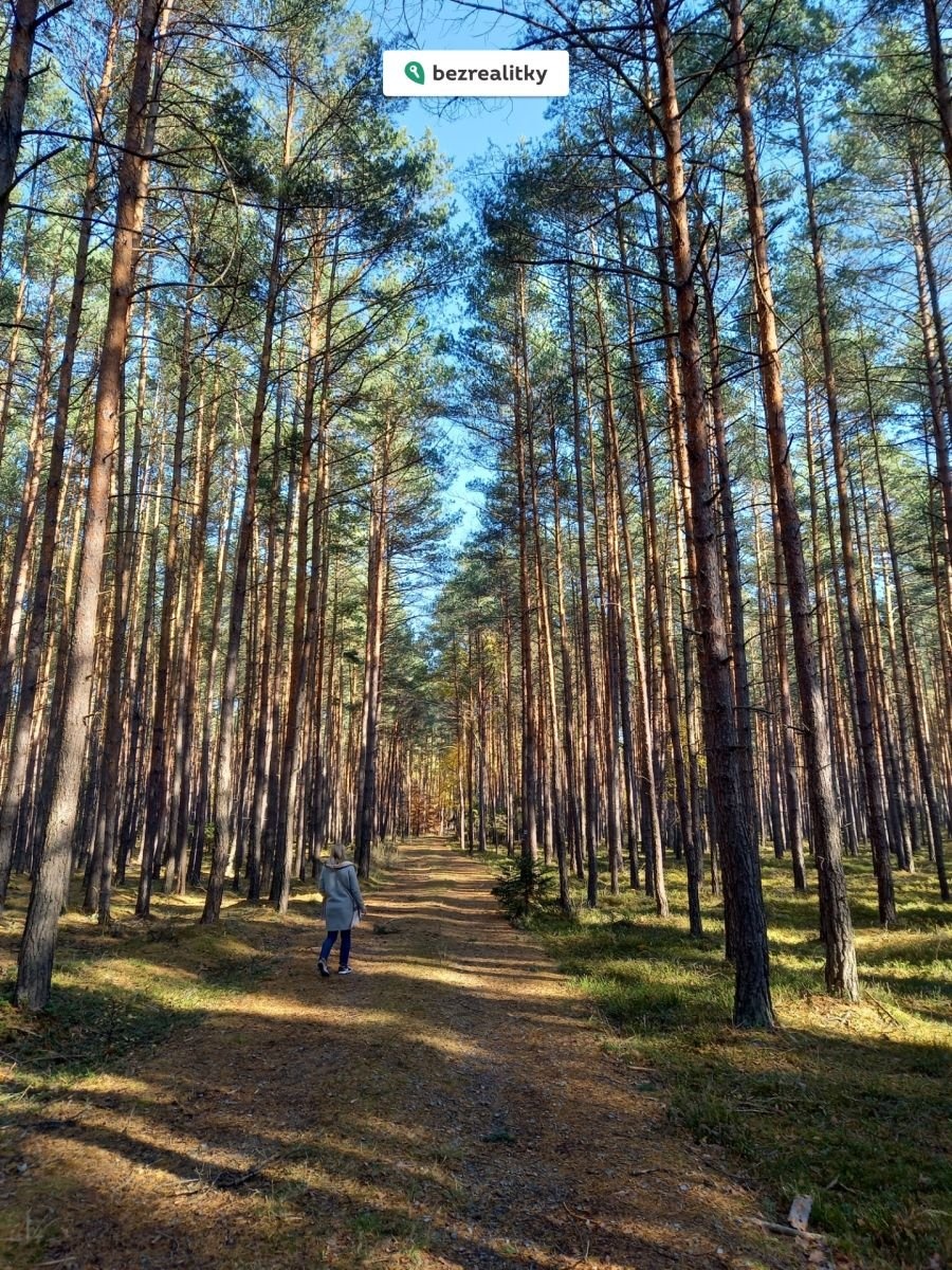 1774200441-gbijtycdfi-20211028-131149