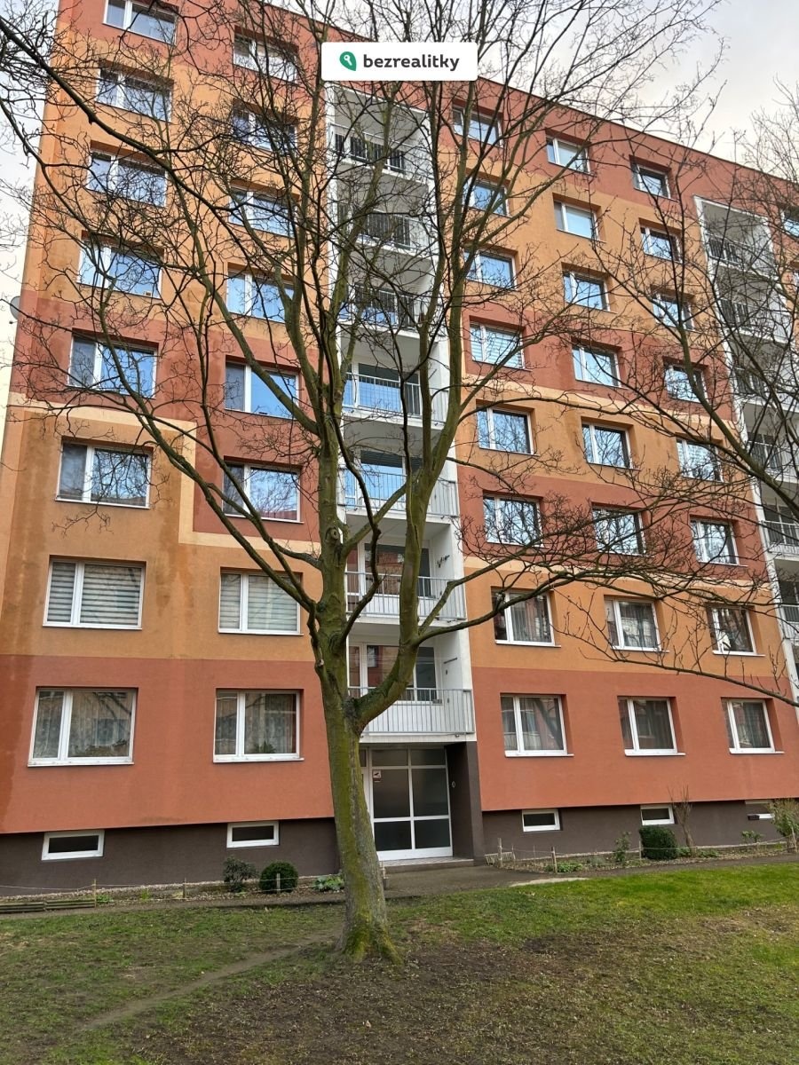 1774166168-dgknvaweqa-img-8933