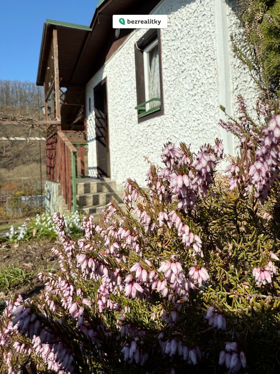 1751462178-rpuwcxilpp-img-6400