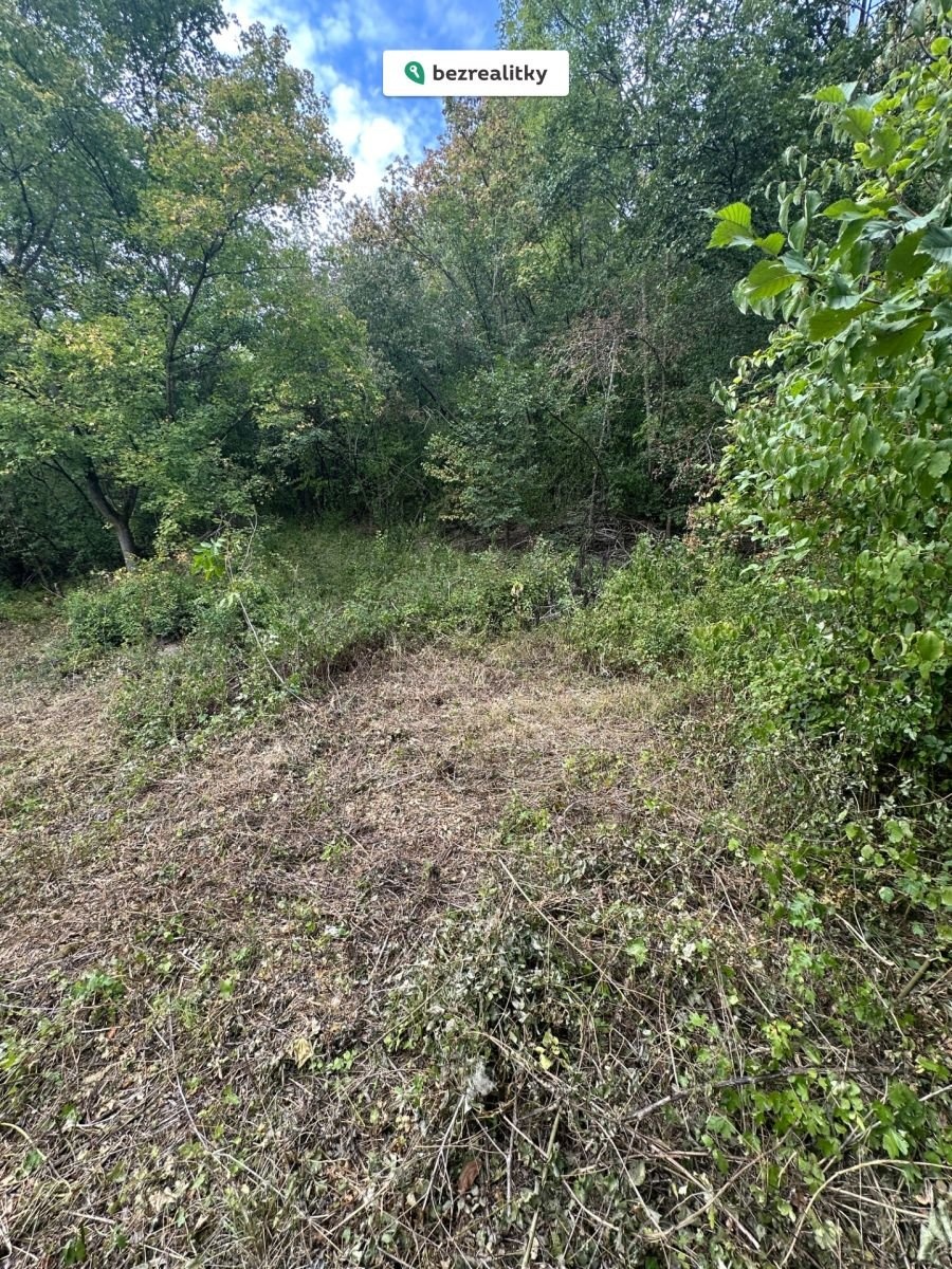 1763065469-ujkijpfwry-img-4087