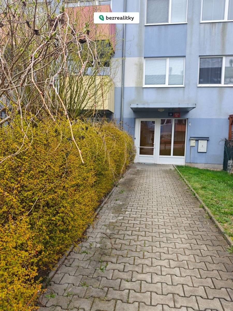 1774865585-dmhawwlxfe-282-29