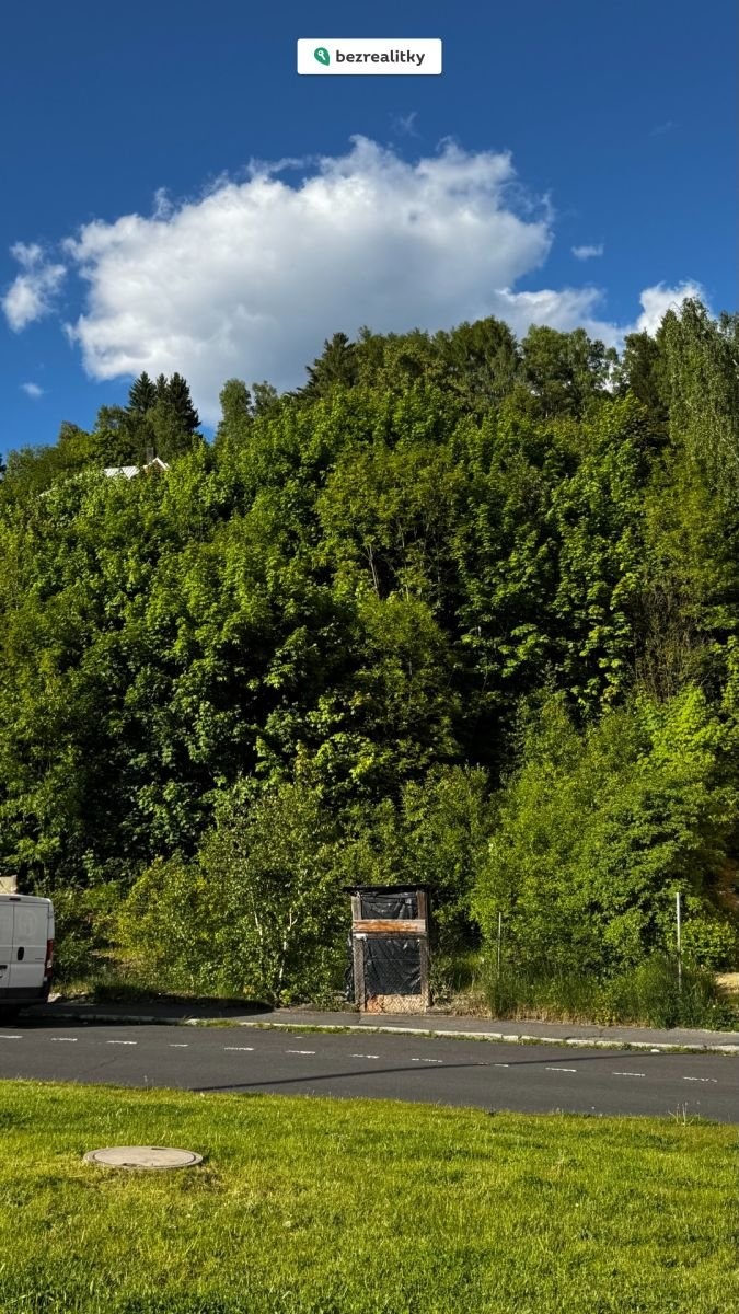 1752488013-xpewzxjtfd-ja-cc-81chymov-1