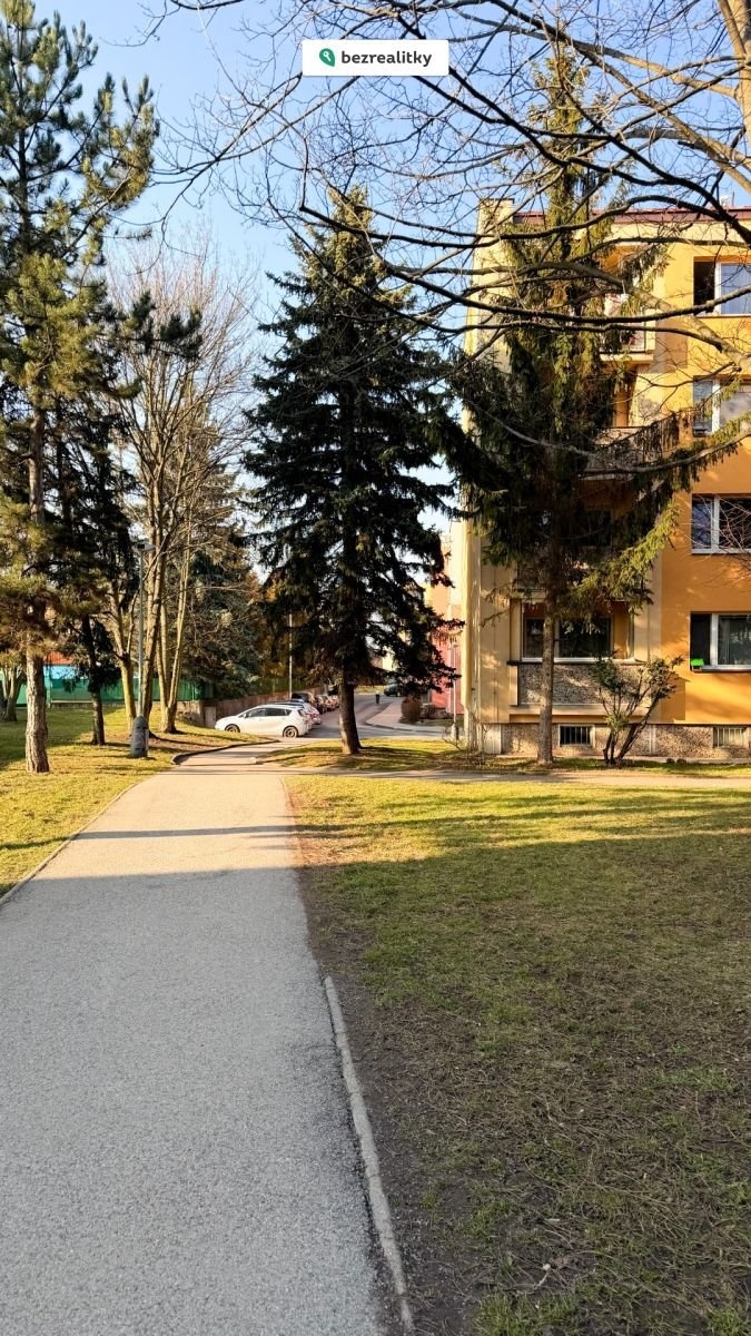 1772999170-pviebdxfsj-img-6720