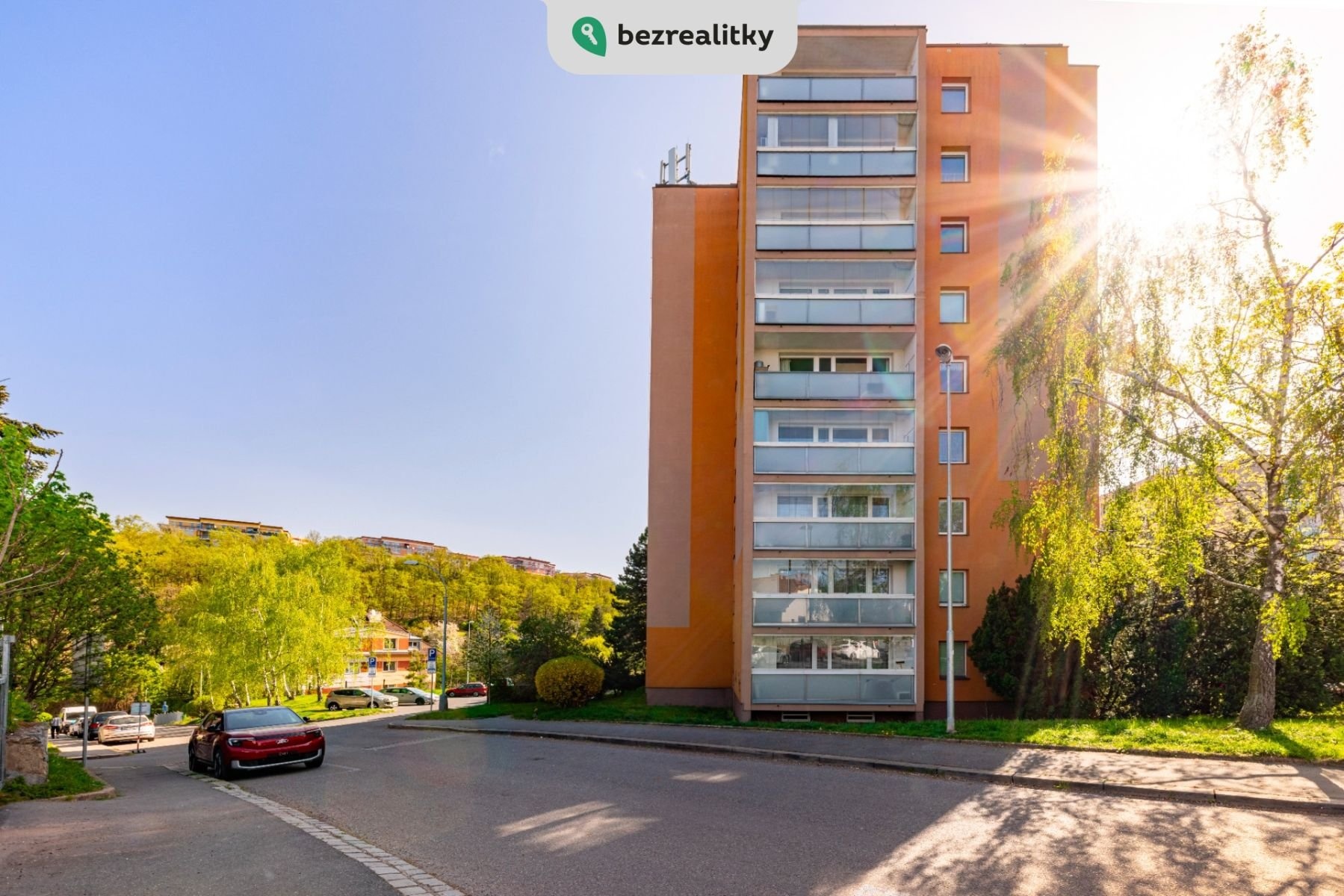 1749926346-drwzvzeijm-terezadvorak-roz-c5-a1-c3-ad-c5-99en-c3-a12kk-12
