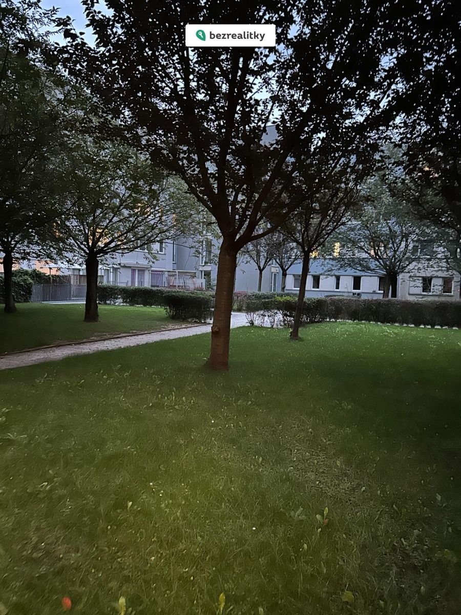 1758137350-laipsgwvsl-img-6179