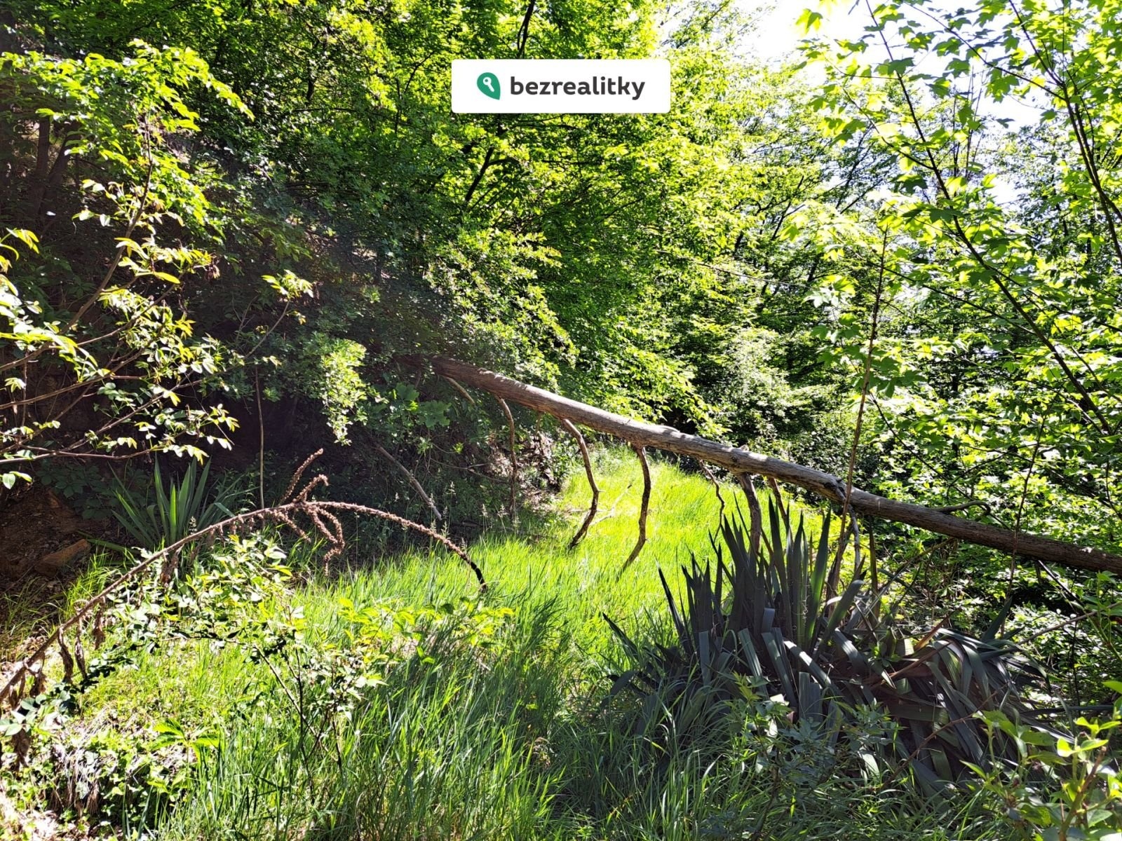 1762641939-igmszkupzw-200-20240515-112326