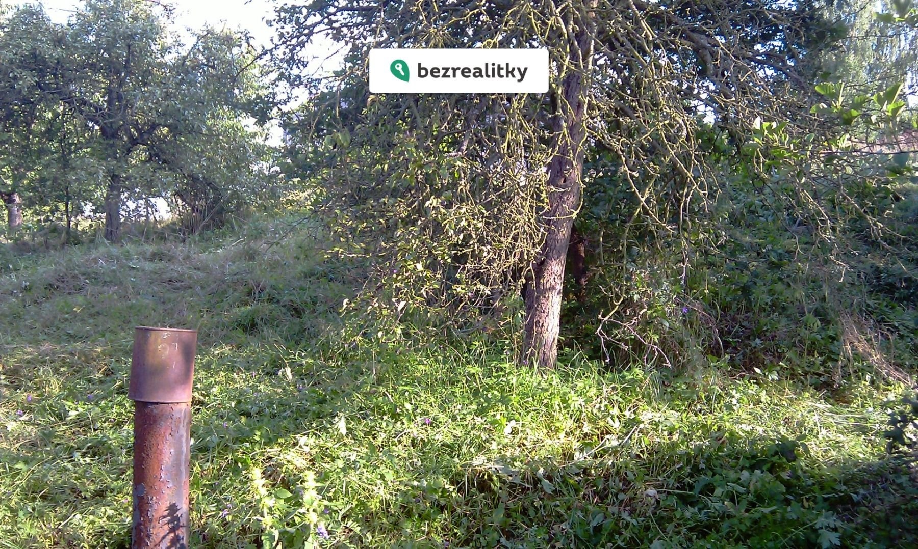 1771868134-byjzkoyeso-brezi-sekani-08-2011-282-29