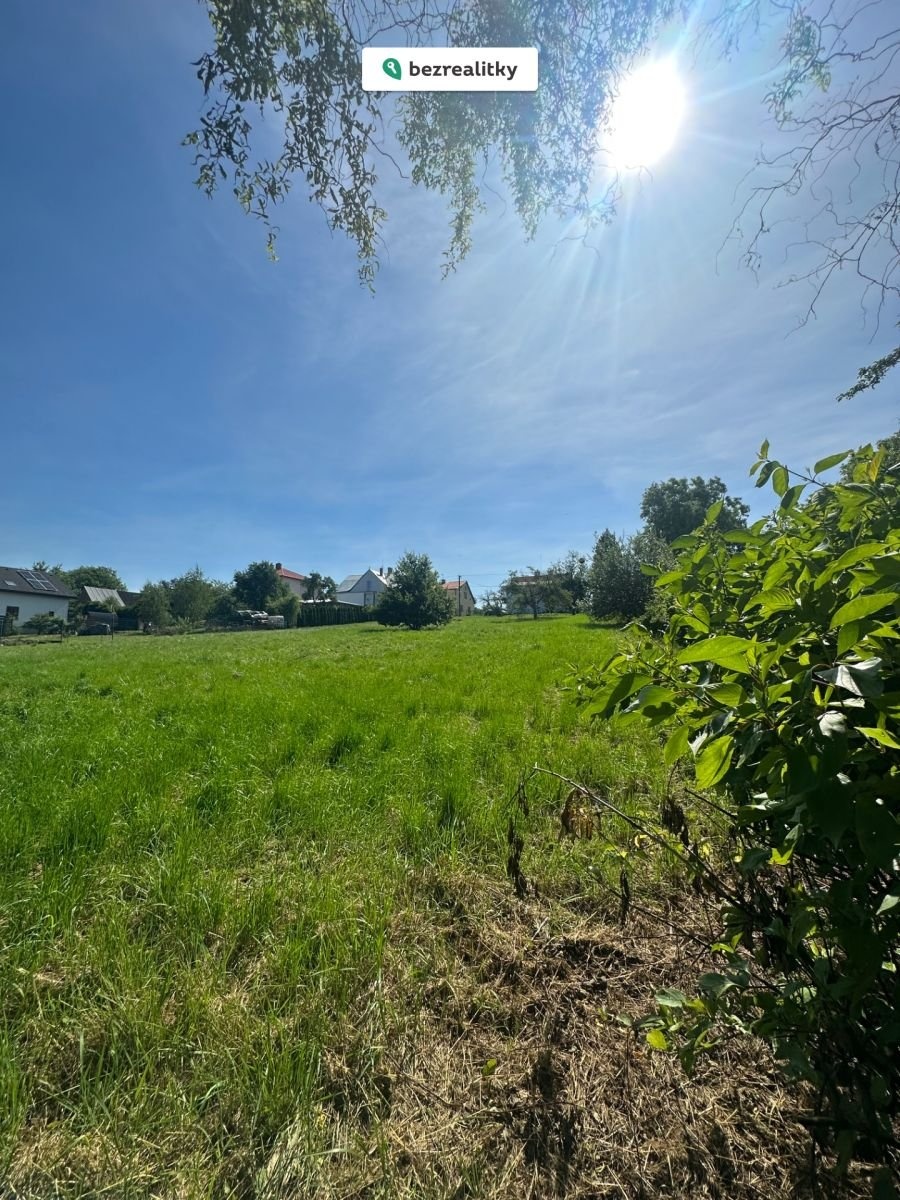 1759817589-wsutccfpil-img-6394