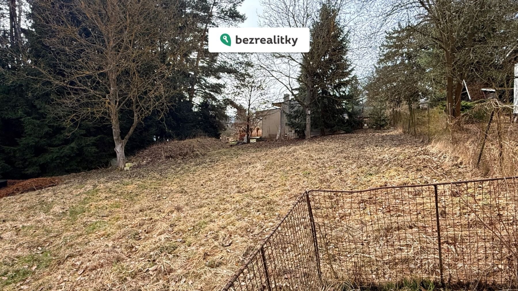 1772969586-apoqgmfwyk-img-8431