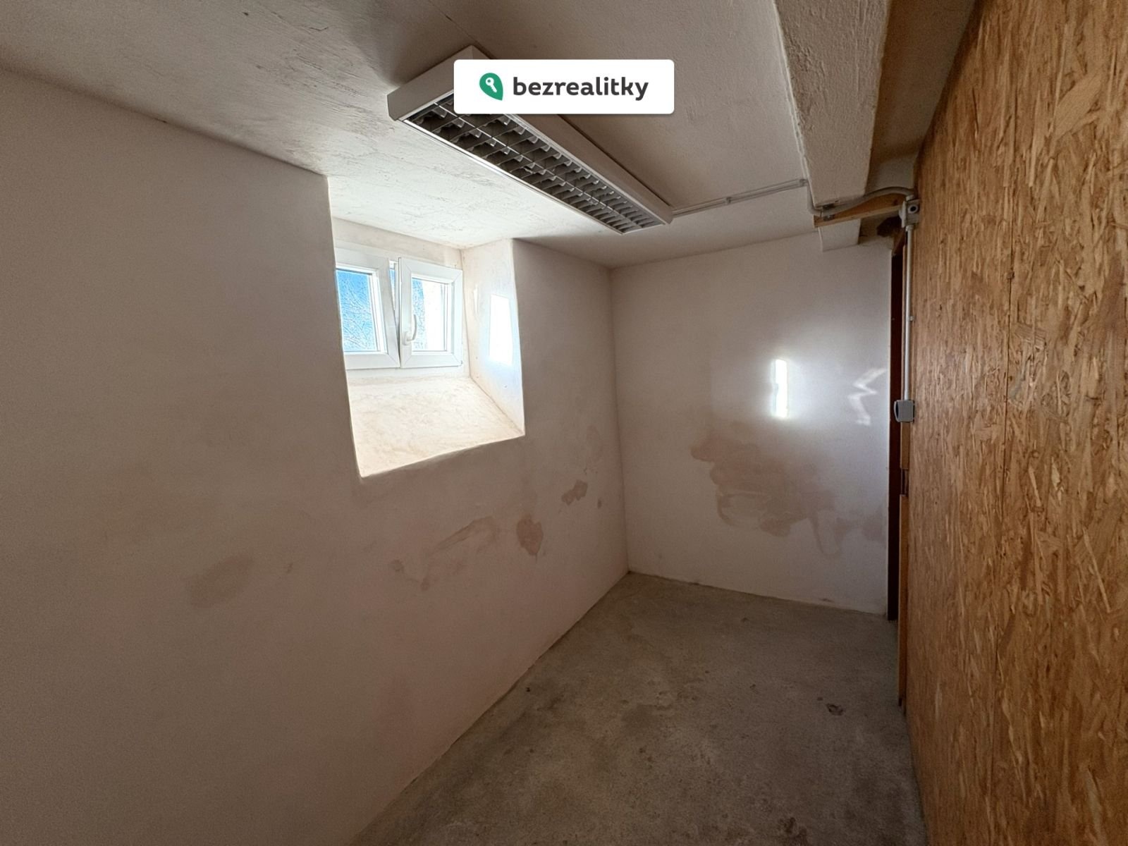 1769000844-exutqqiqnq-ricany-olivova-15