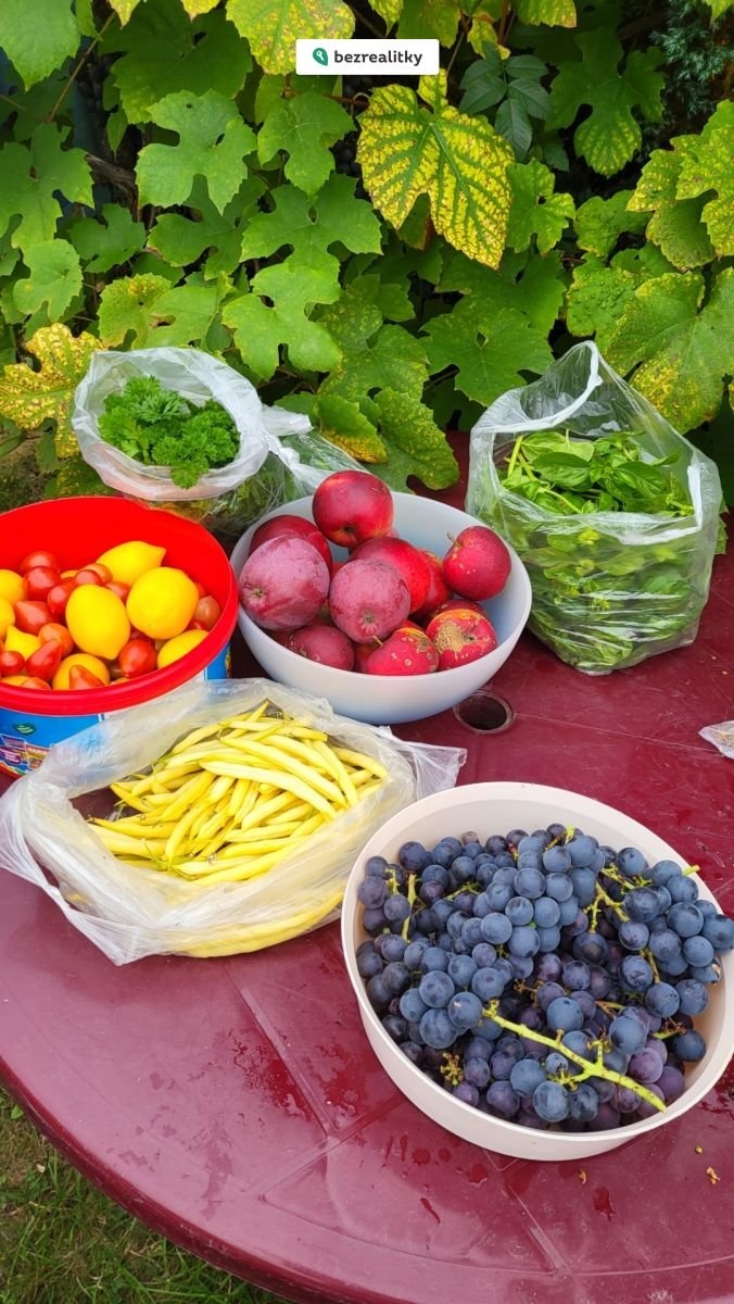 1773098961-nxoihnlikr-16-uroda2