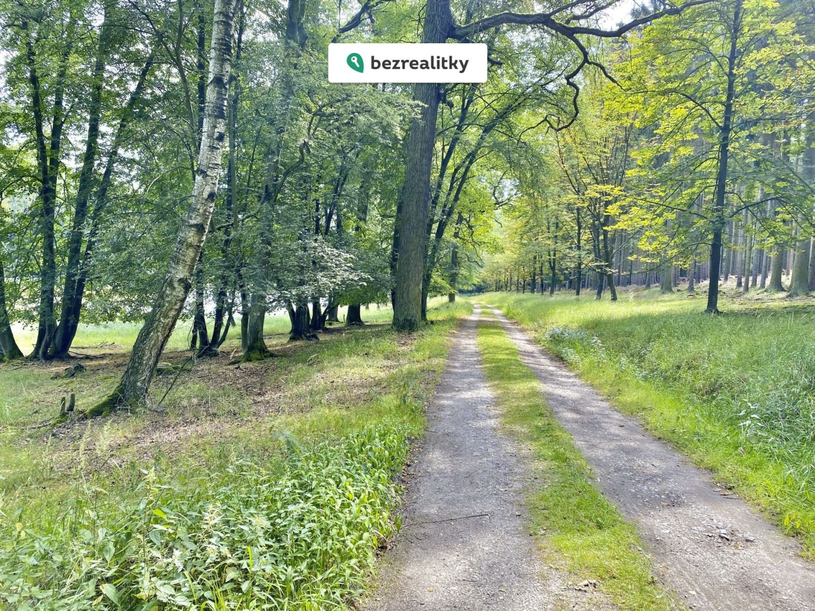 1772488582-remyknrzzr-jabkenickaobora2