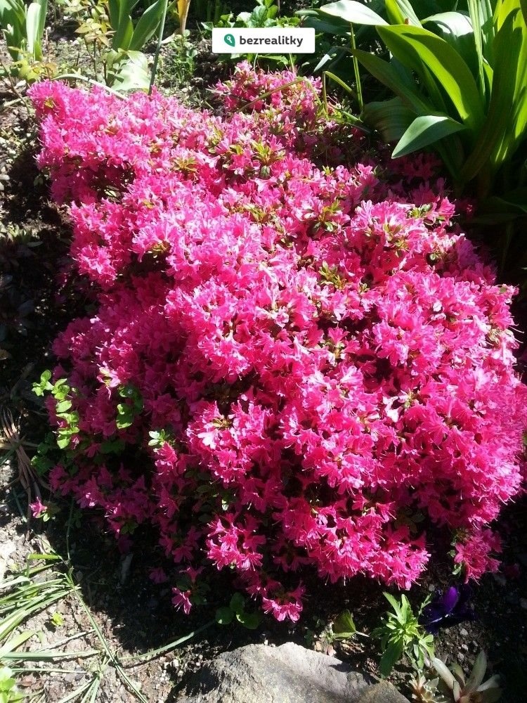 1775842126-qvpvfhanju-20140525-140712