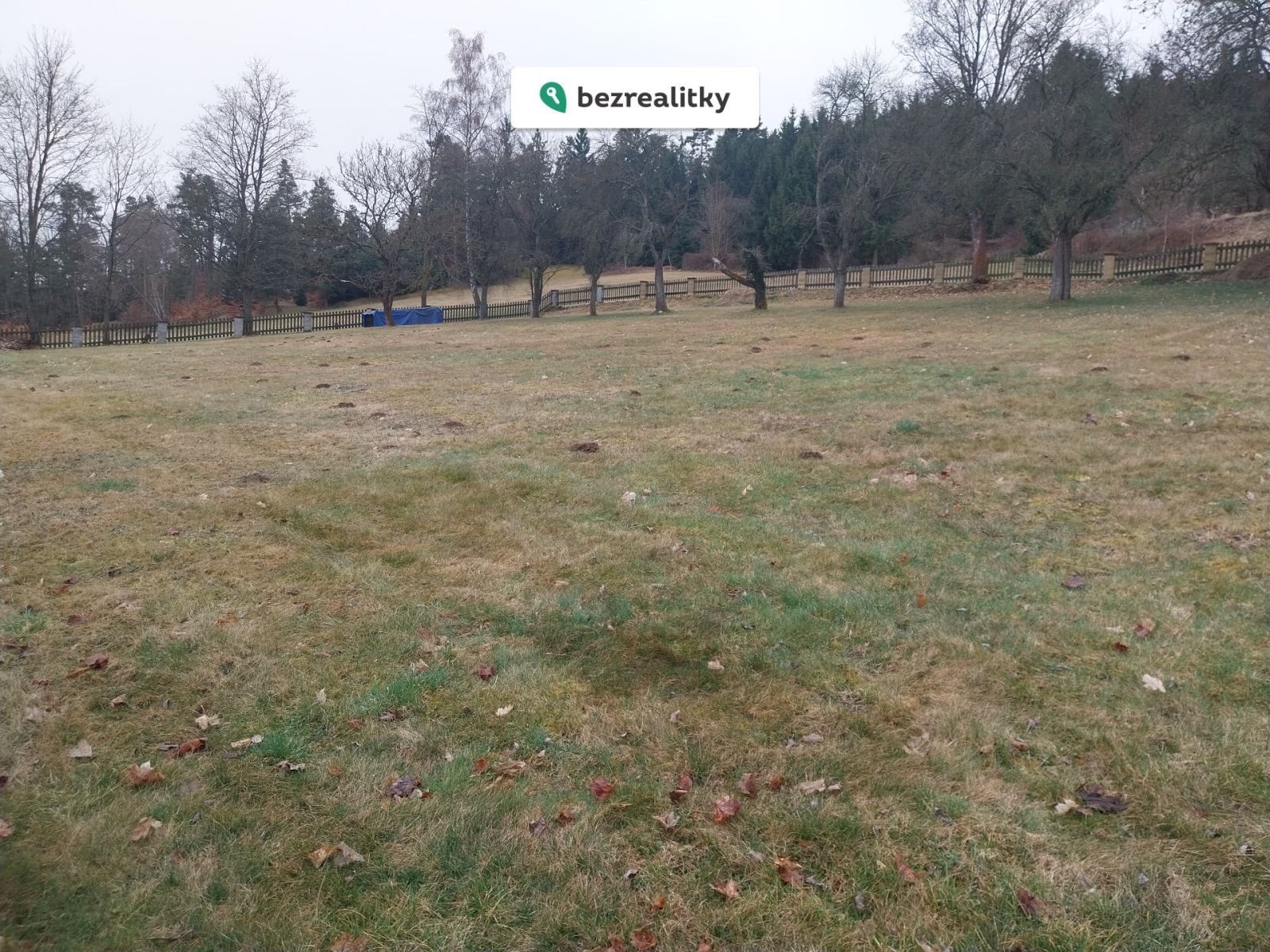 1774198231-ikuufcfwkt-20260315-103637