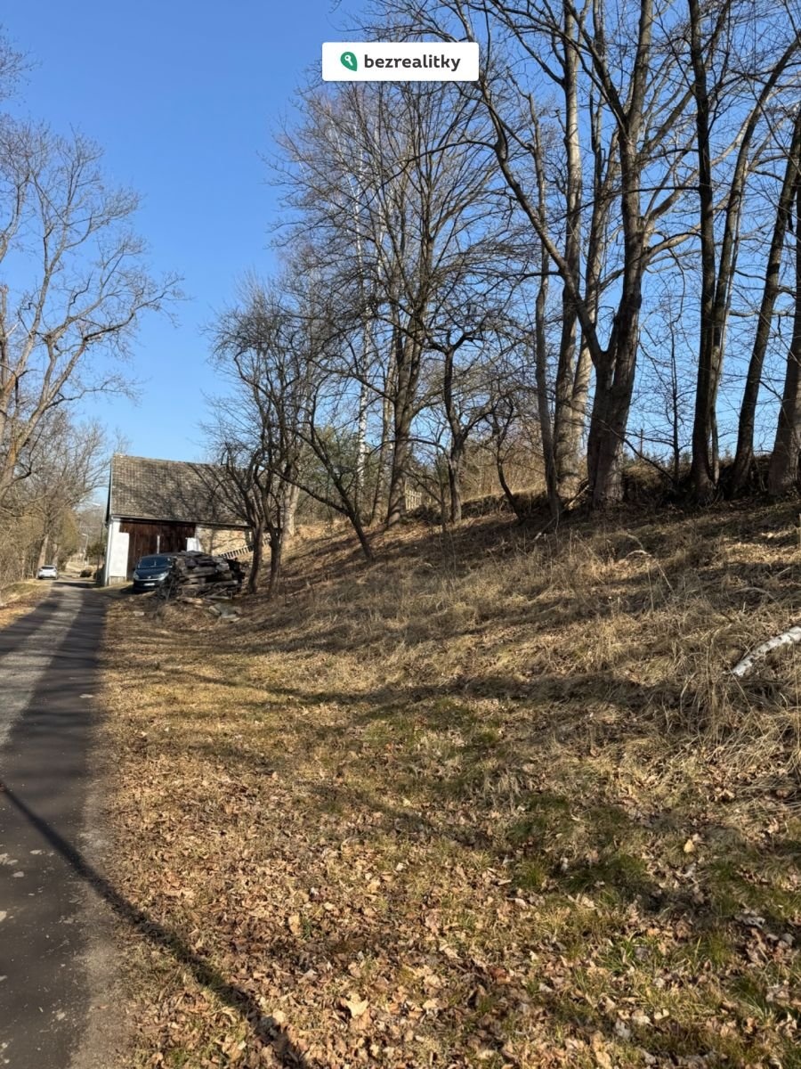 1771243679-chipivkvhs-img-1557