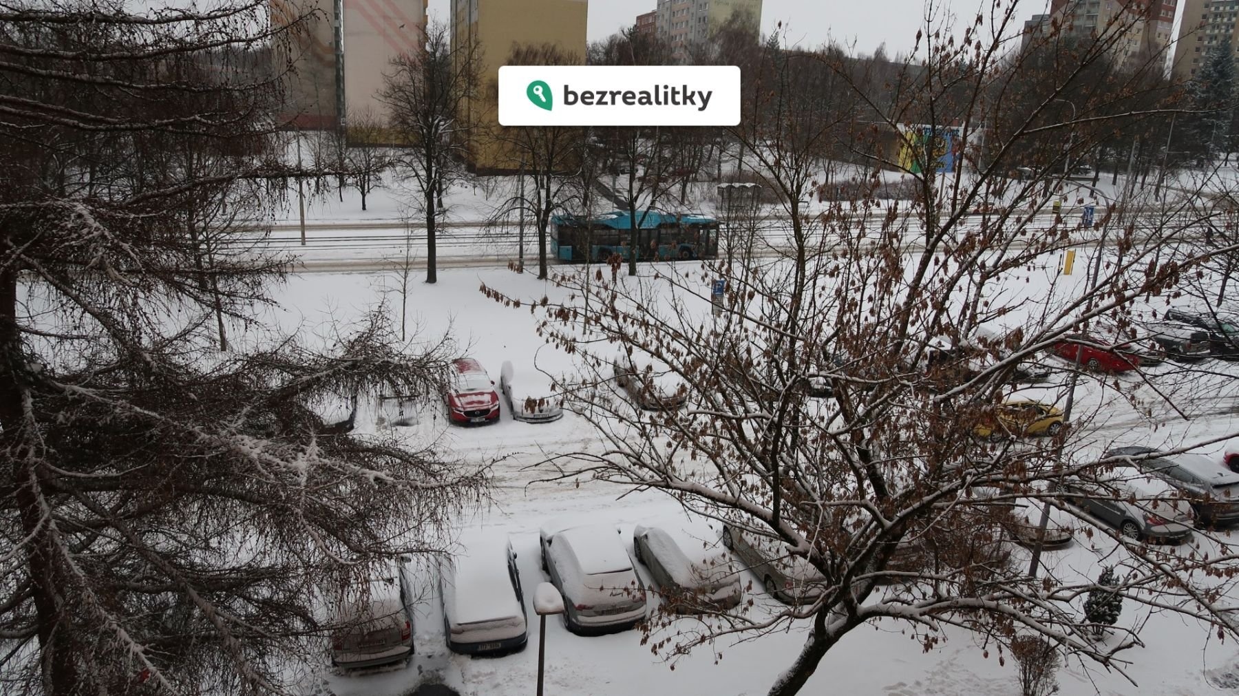 1768403035-irvxttwqkq-img-2995