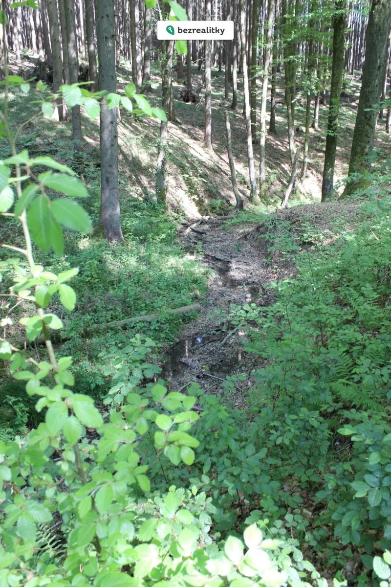 1764545287-eqtnlmffkt-img-6486