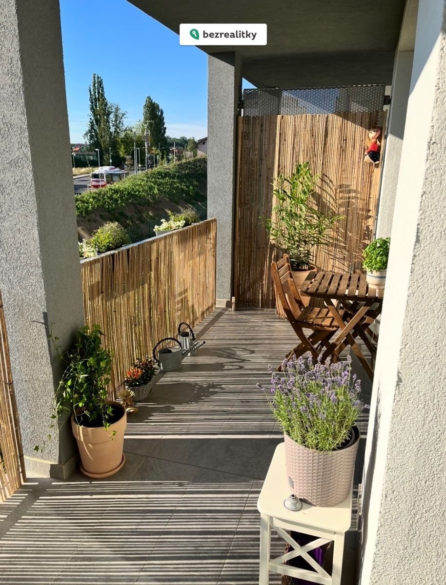 1770383306-lqxaivqsaj-img-9427