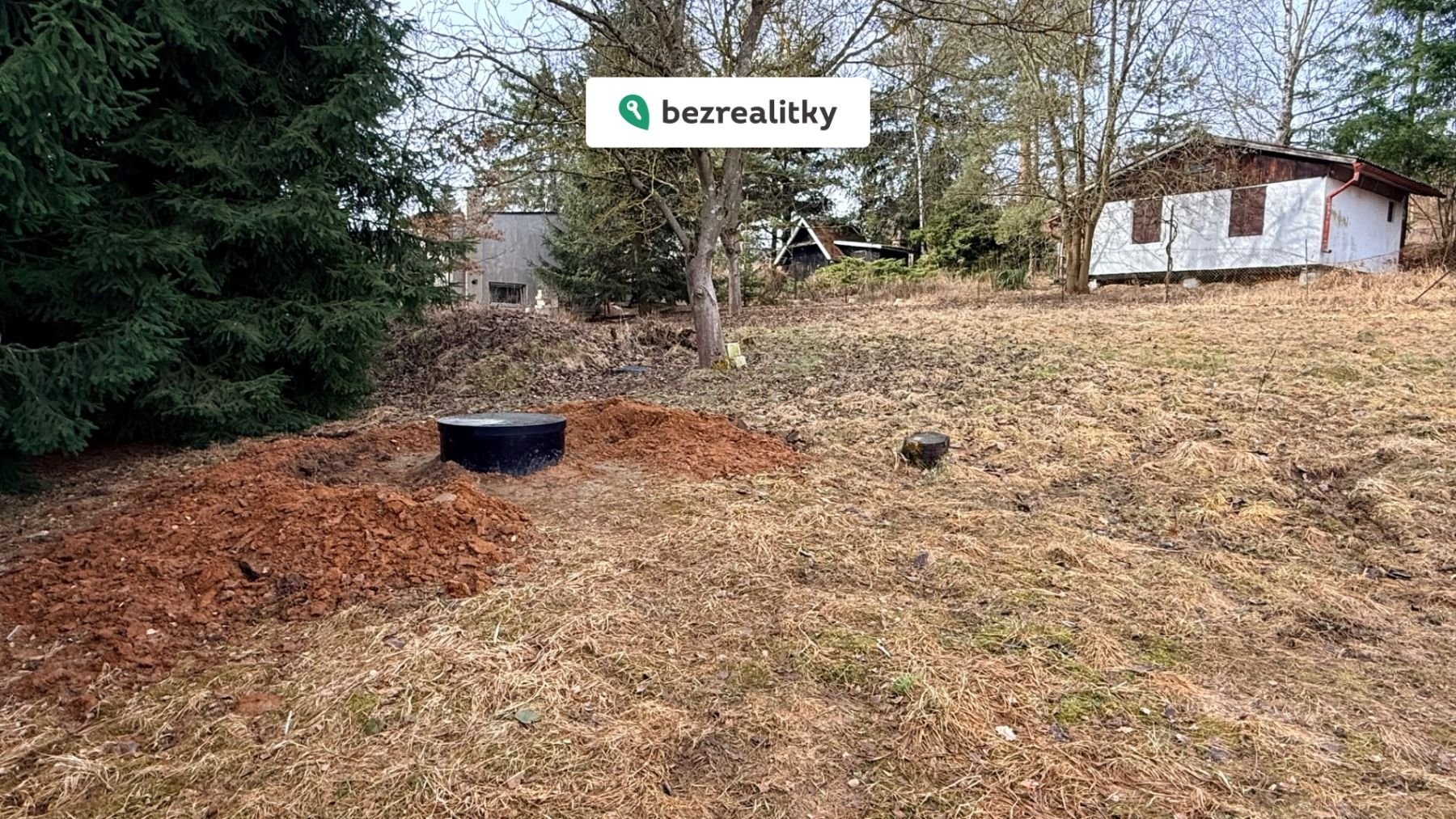 1772969584-xvcqnapweh-img-8437