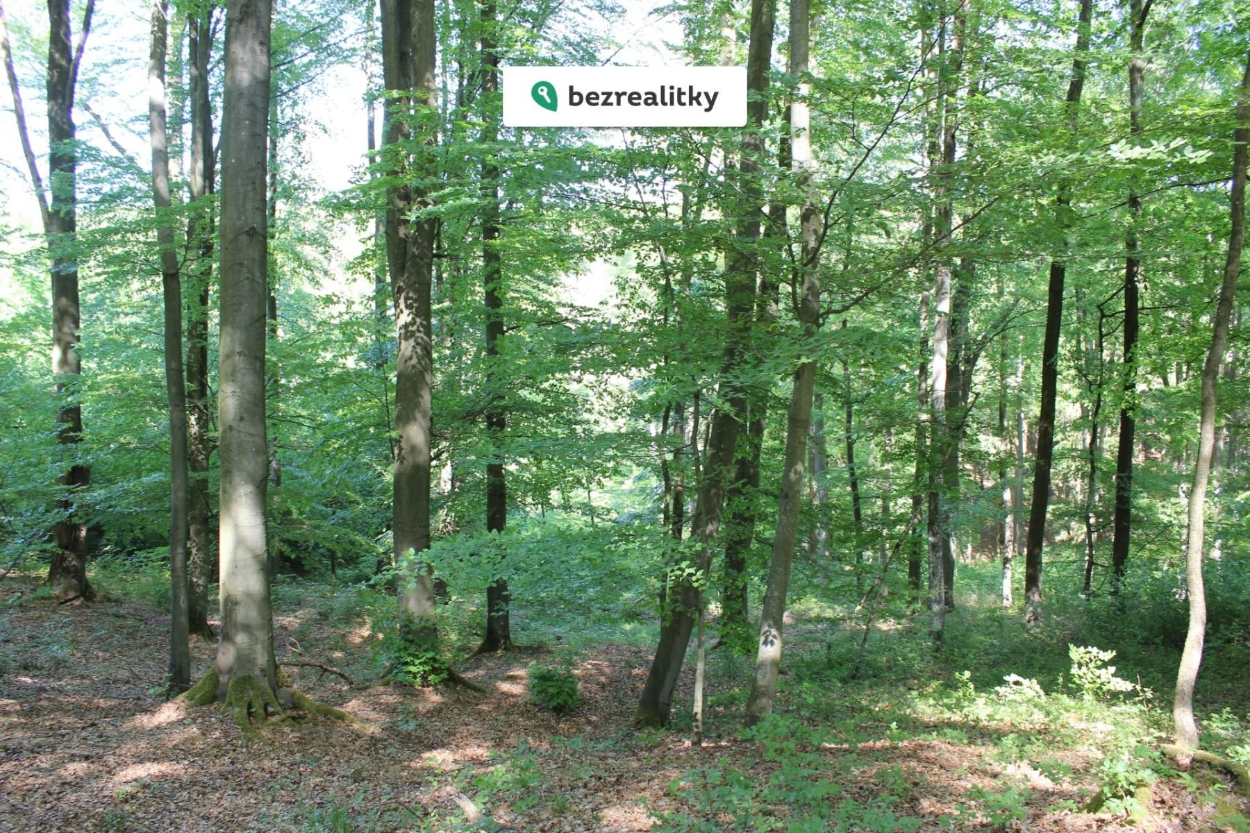 1764545290-cdxdfsvfyn-img-6475