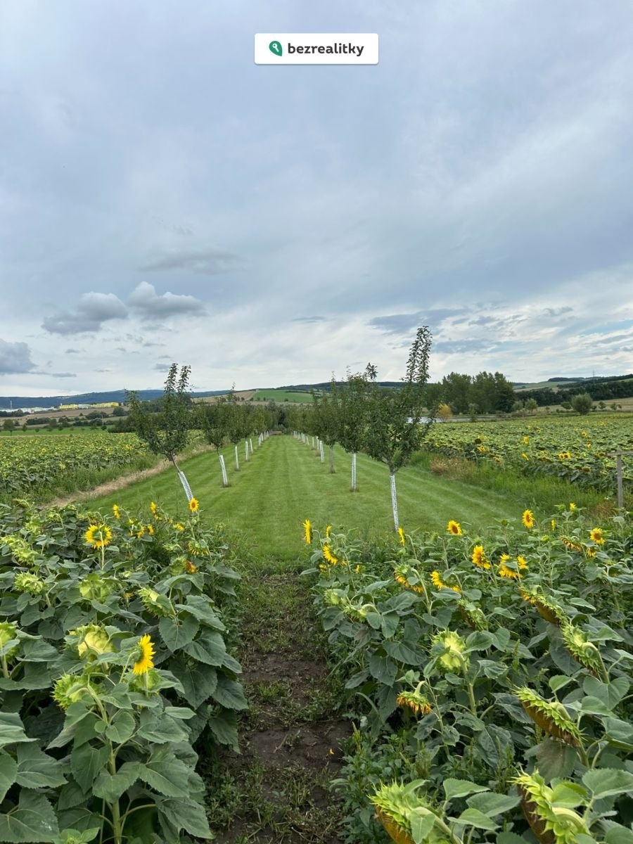 1763367551-cgbzhadkqe-img-6837