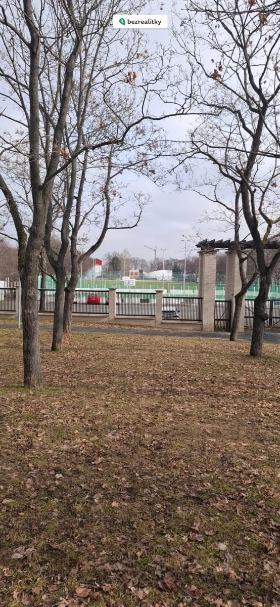 1771622082-kidpbshwuu-20260219-105836