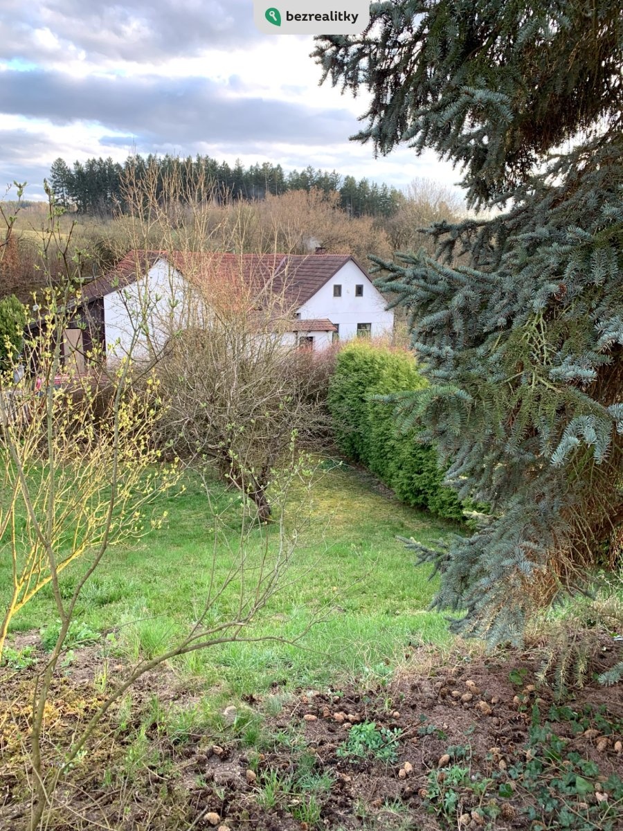 1745337355-rxxgtptdcn-img-9753