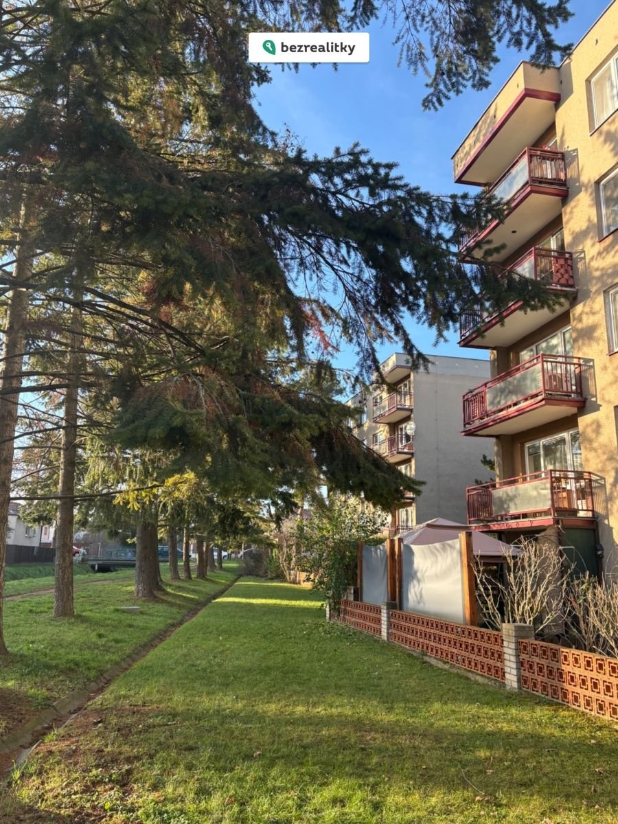 1763889967-ibcytiowgg-img-2888