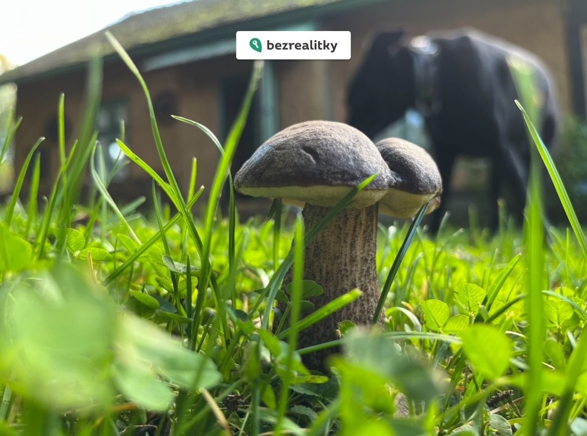 1758295504-bblfvsiaez-img-8488