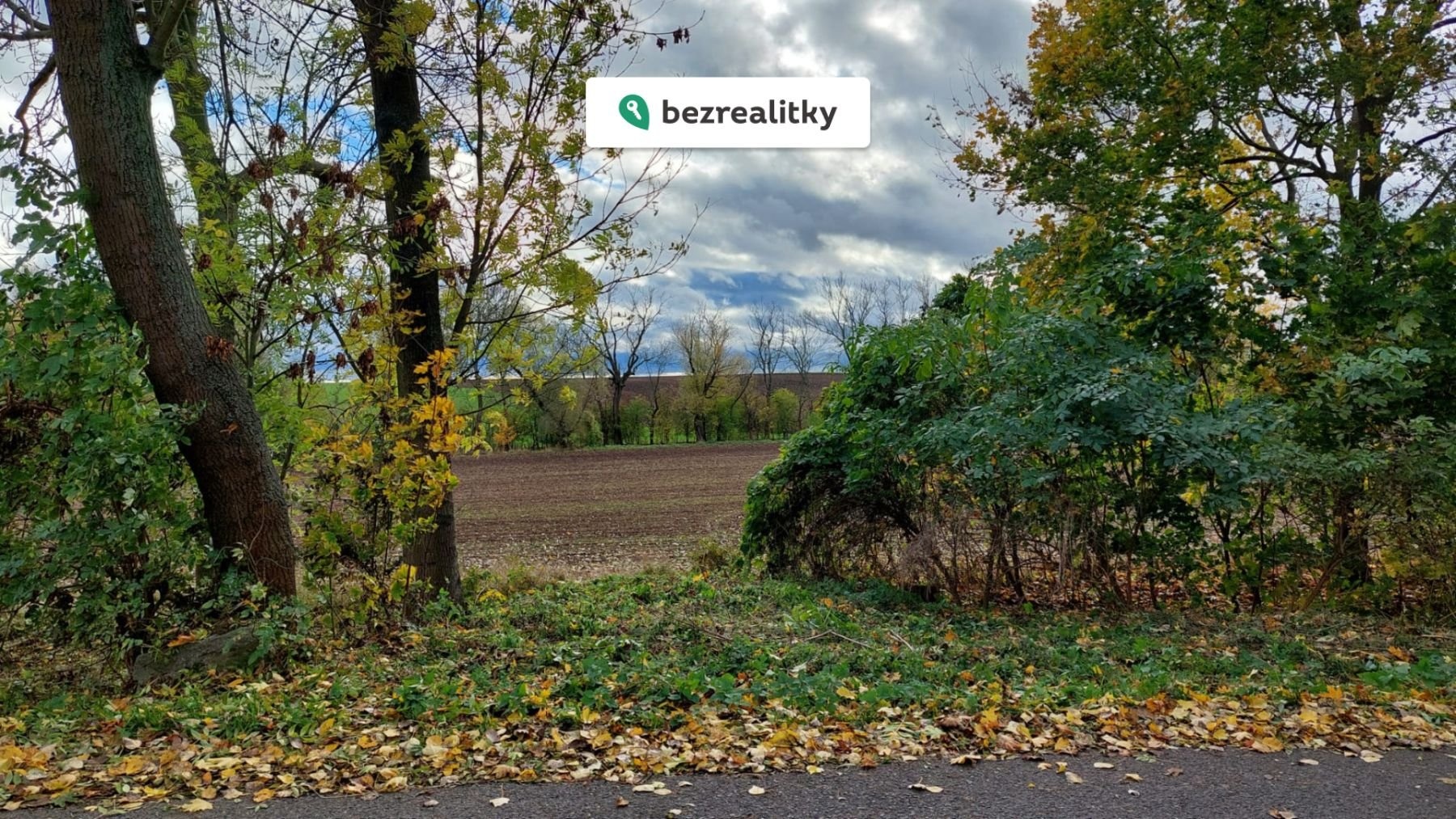 1763044453-xlnzfgbkfa-whatsapp-image-2025-10-27-at-10-58-18