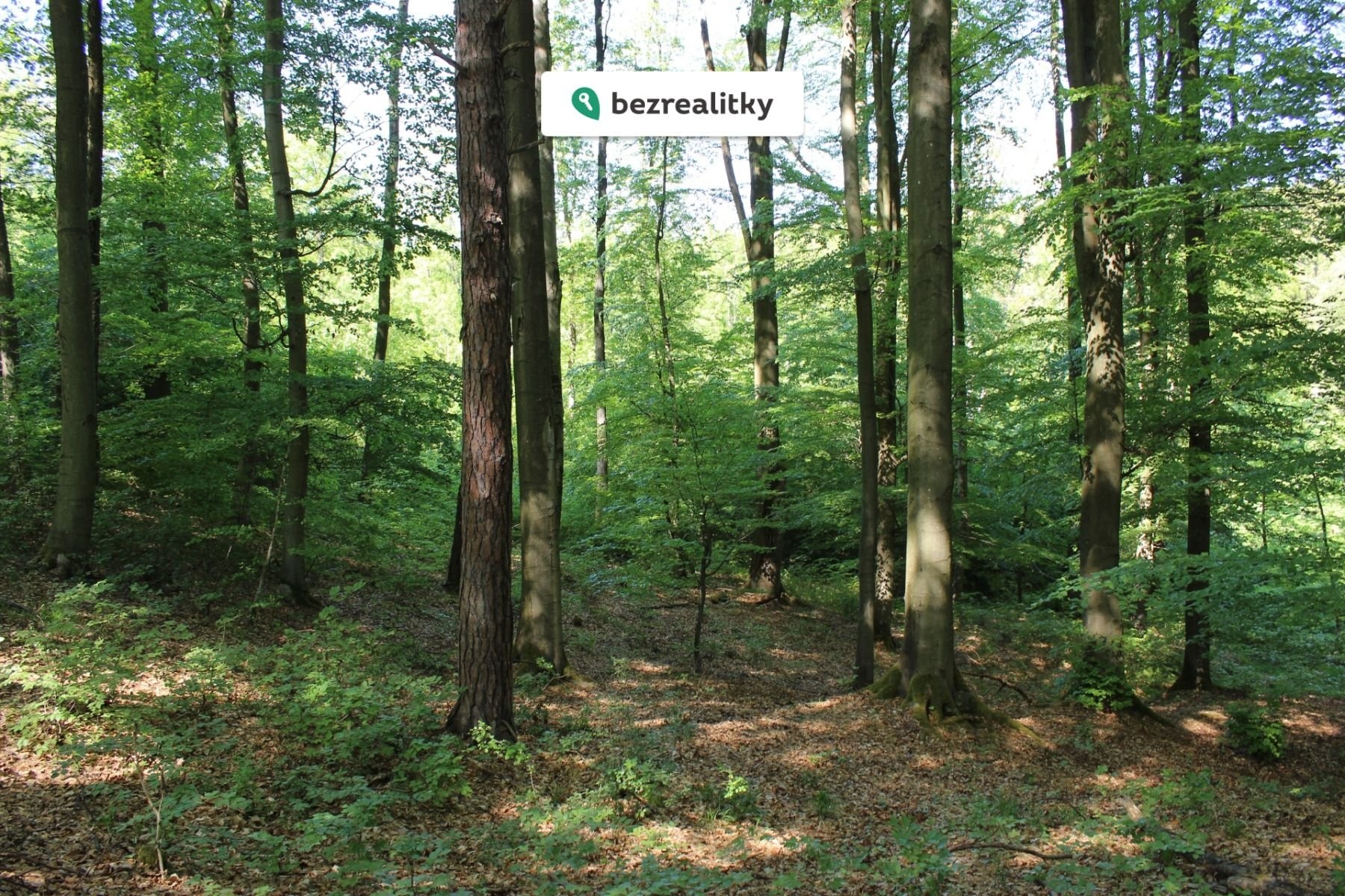 1764545292-wojkzsvtsm-img-6473