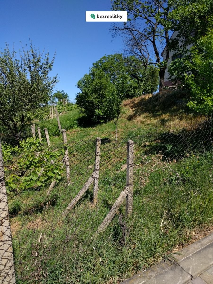 1751041272-frjujdgsbs-img-20180507-143043