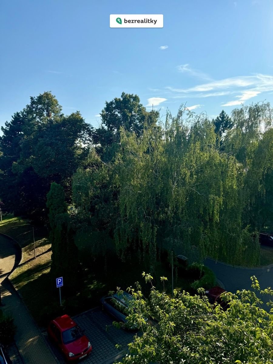 1724190220-ajwbdpeuoz-a8be9b99-d3d2-4e05-8f2a-cdf4