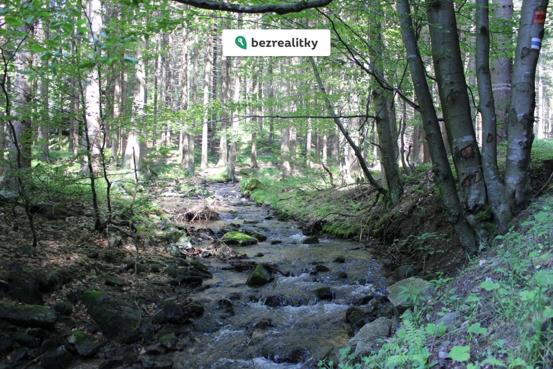 1771882398-wjidwmtnju-img-4119