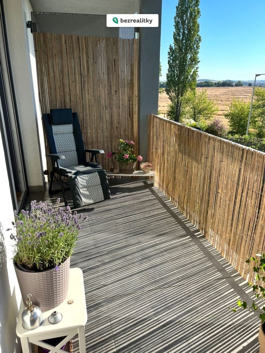 1770383306-onkhnxsqxb-img-9428