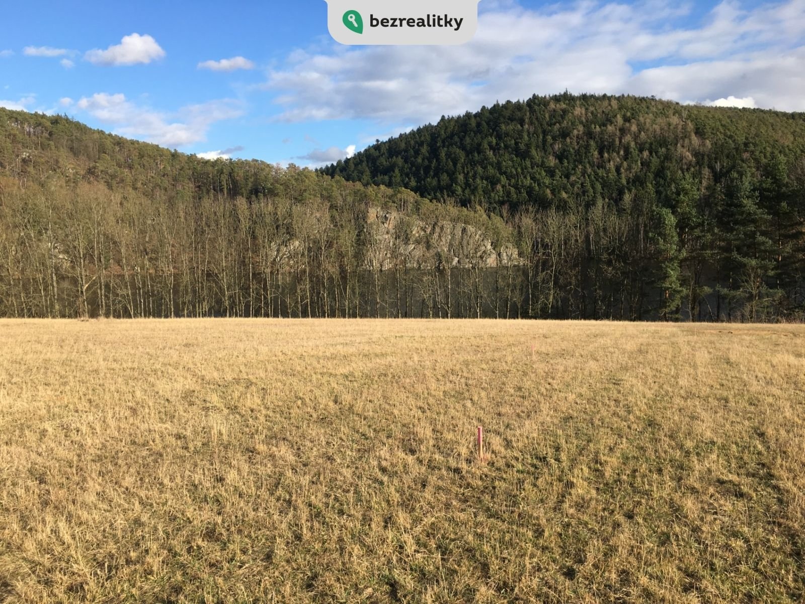 1737196078-tkoshhtnji-img-4467