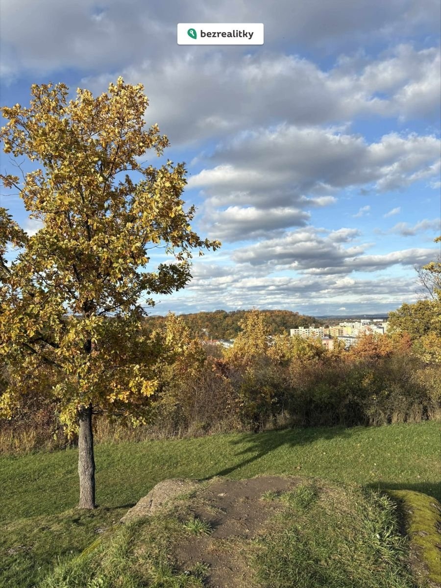 1761825562-rgwoxlxdnm-processed-b88c3bf8-f2de-4707-8d66-a147f65f9e3f