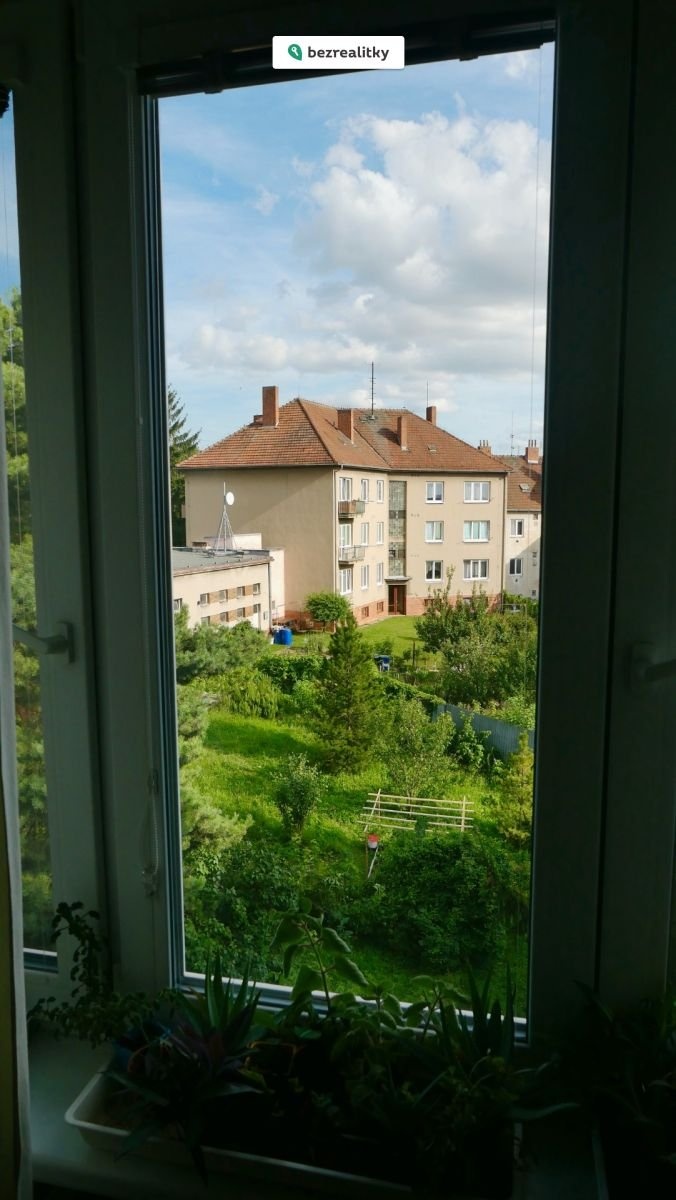 1743879151-uvmliopmfd-p1003839