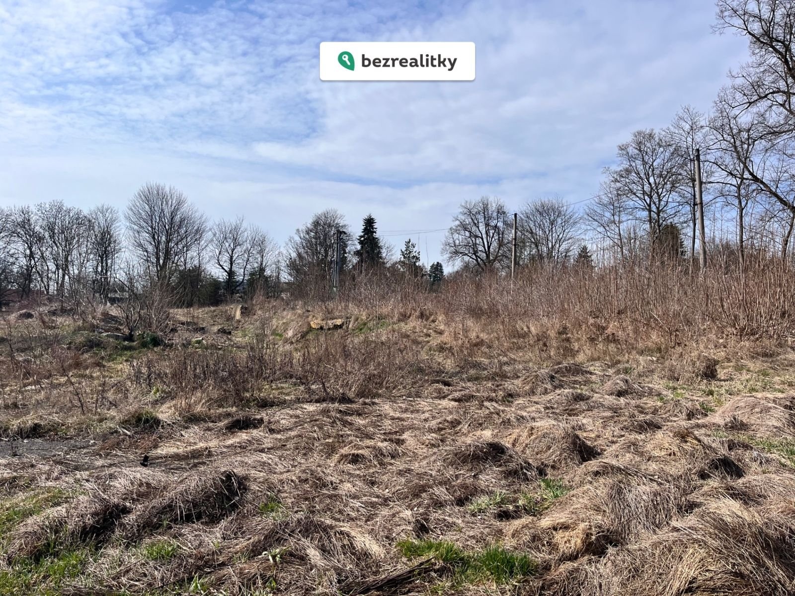 1774356953-youdxhnajz-img-0333