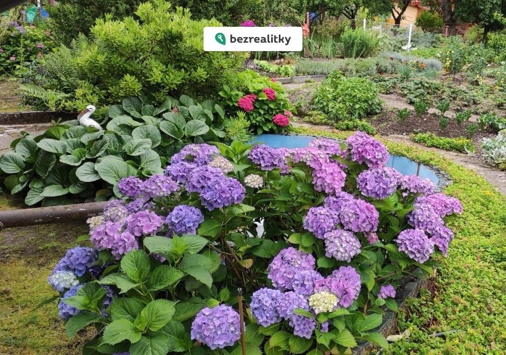 1775842152-qwkzhyzqdu-img-20230802-124316-2