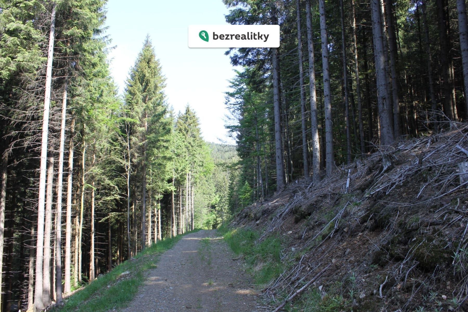 1771882398-ghwhhscvvz-img-4113